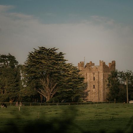 Killiane Castle Country House & Farm Drinagh Exterior foto