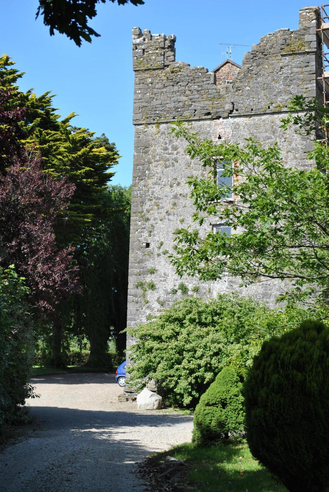 Killiane Castle Country House & Farm Drinagh Exterior foto