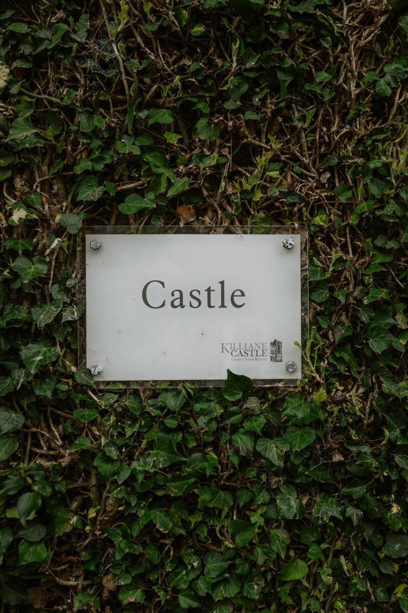 Killiane Castle Country House & Farm Drinagh Exterior foto