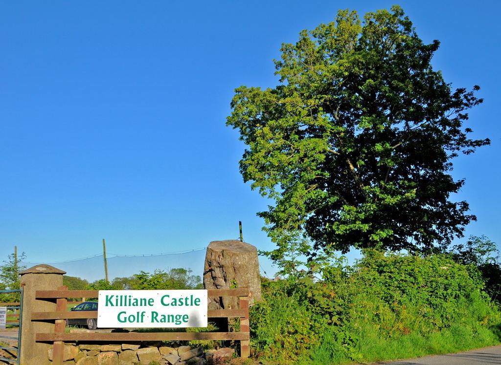 Killiane Castle Country House & Farm Hotel Drinagh Exterior foto