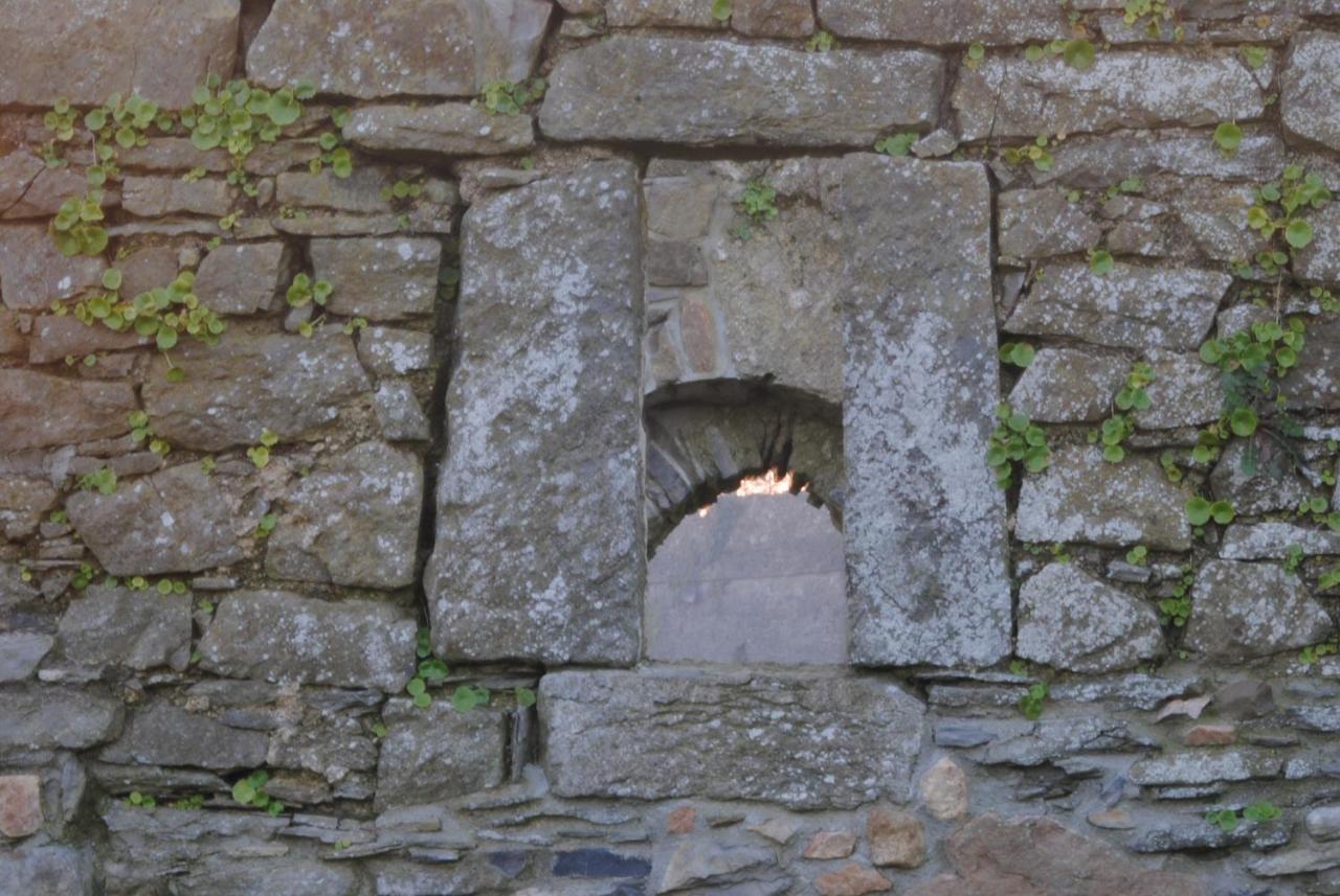 Killiane Castle Country House & Farm Drinagh Cameră foto